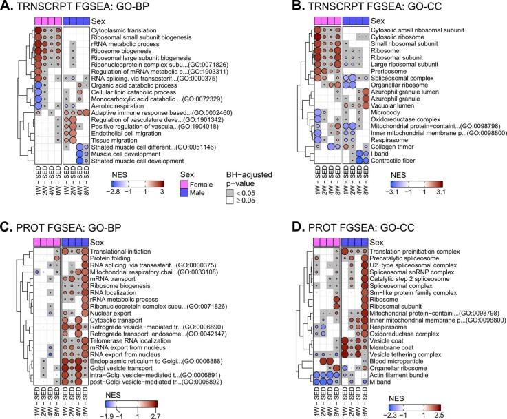 https://cdn.ncbi.nlm.nih.gov/pmc/blobs/f3d0/11132991/34539a16ec15/42255_2023_959_Fig8_ESM.jpg