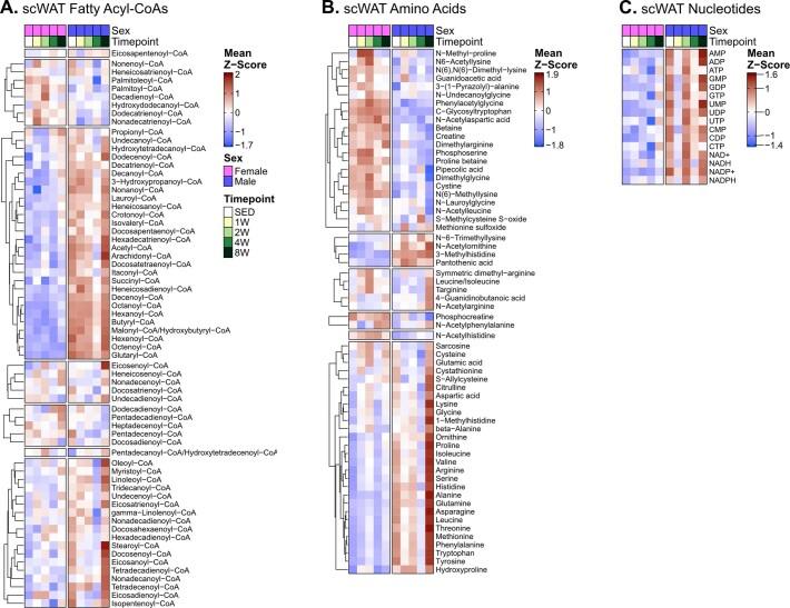 https://cdn.ncbi.nlm.nih.gov/pmc/blobs/f3d0/11132991/a1fd7688d133/42255_2023_959_Fig9_ESM.jpg