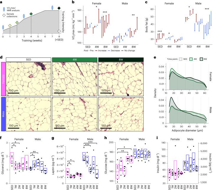 https://cdn.ncbi.nlm.nih.gov/pmc/blobs/f3d0/11132991/ddc625973723/42255_2023_959_Fig1_HTML.jpg
