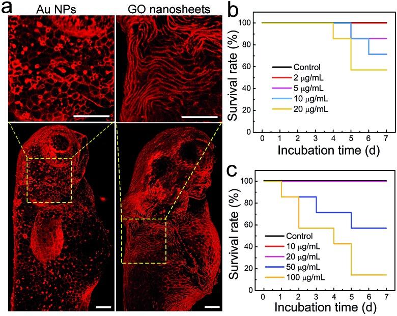 https://cdn.ncbi.nlm.nih.gov/pmc/blobs/f3d0/6461115/524e4b655805/c8sc04884c-f5.jpg