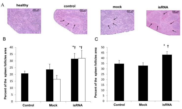 https://cdn.ncbi.nlm.nih.gov/pmc/blobs/f3d1/4794162/5c8a078e87d6/pone.0150751.g005.jpg