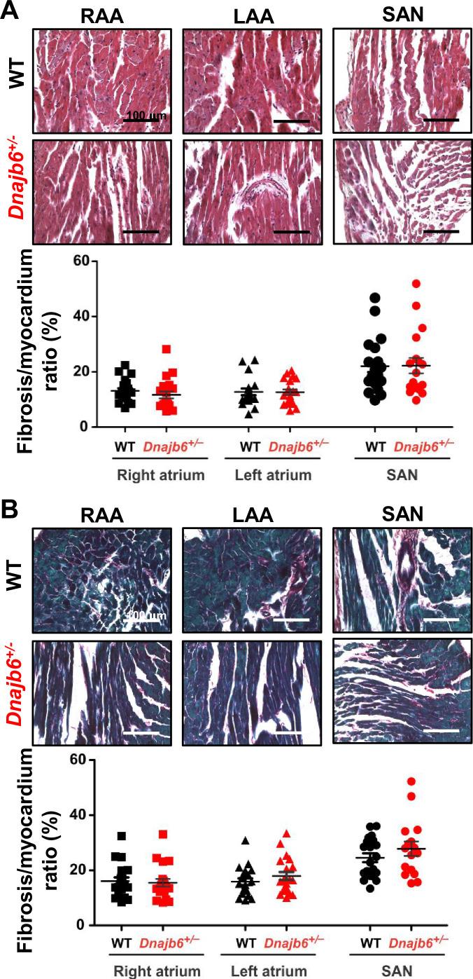 https://cdn.ncbi.nlm.nih.gov/pmc/blobs/f3d5/9642998/7d7edc8f21f6/elife-77327-fig5-figsupp2.jpg