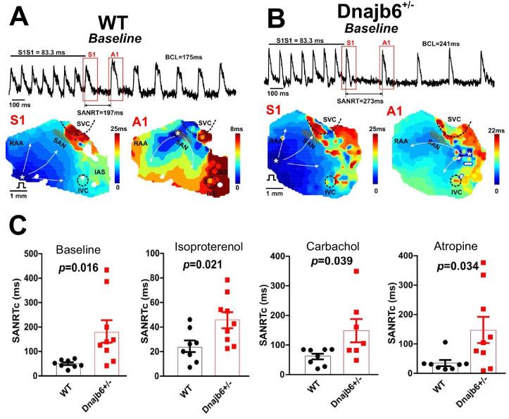 https://cdn.ncbi.nlm.nih.gov/pmc/blobs/f3d5/9642998/d6e48a58faf1/elife-77327-fig5-figsupp1.jpg