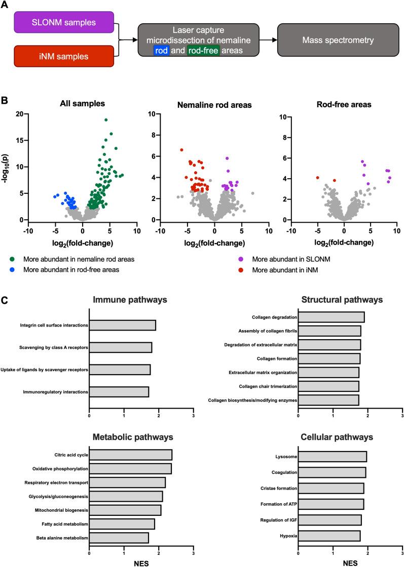 https://cdn.ncbi.nlm.nih.gov/pmc/blobs/f3d5/9878979/a5852c61c607/40478_2023_1518_Fig2_HTML.jpg