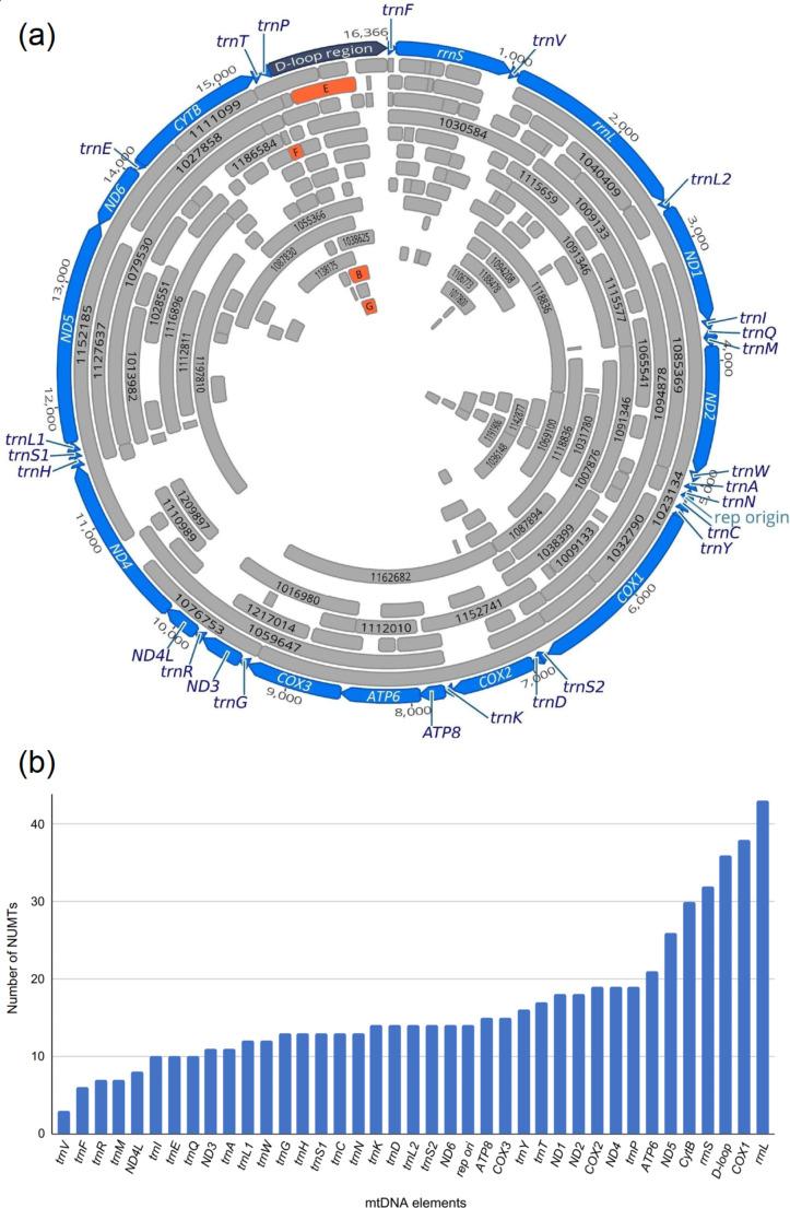 https://cdn.ncbi.nlm.nih.gov/pmc/blobs/f3d6/10756869/85ff6889ea9d/11033_2023_8913_Fig3_HTML.jpg