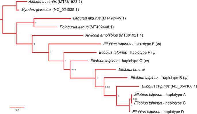 https://cdn.ncbi.nlm.nih.gov/pmc/blobs/f3d6/10756869/ef258f72134d/11033_2023_8913_Fig2_HTML.jpg