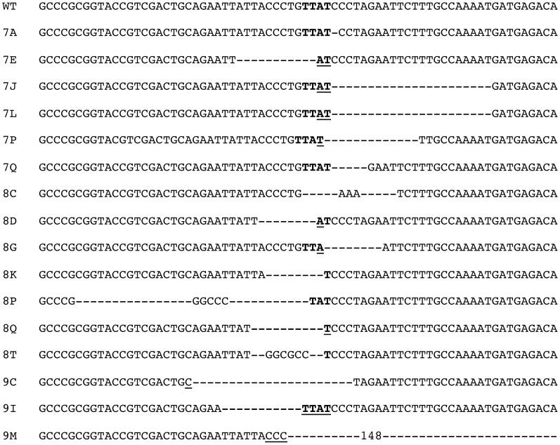 https://cdn.ncbi.nlm.nih.gov/pmc/blobs/f3d7/3610639/65a277ab312c/pgen.1003386.g003.jpg