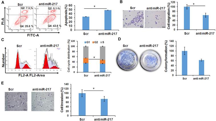 https://cdn.ncbi.nlm.nih.gov/pmc/blobs/f3d7/6070673/219aebae96d0/gr7.jpg