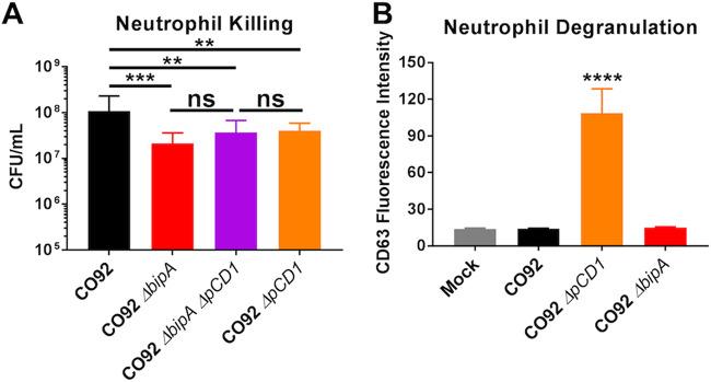 https://cdn.ncbi.nlm.nih.gov/pmc/blobs/f3d7/7822129/b80e4efe8359/IAI.00673-20-f0003.jpg
