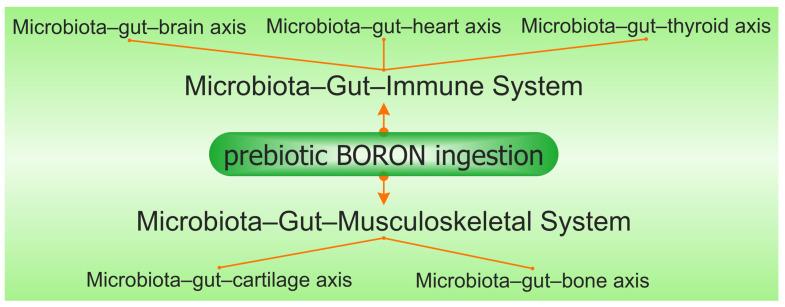 https://cdn.ncbi.nlm.nih.gov/pmc/blobs/f3da/10673453/eb245e7f426d/medicina-59-01965-g003.jpg