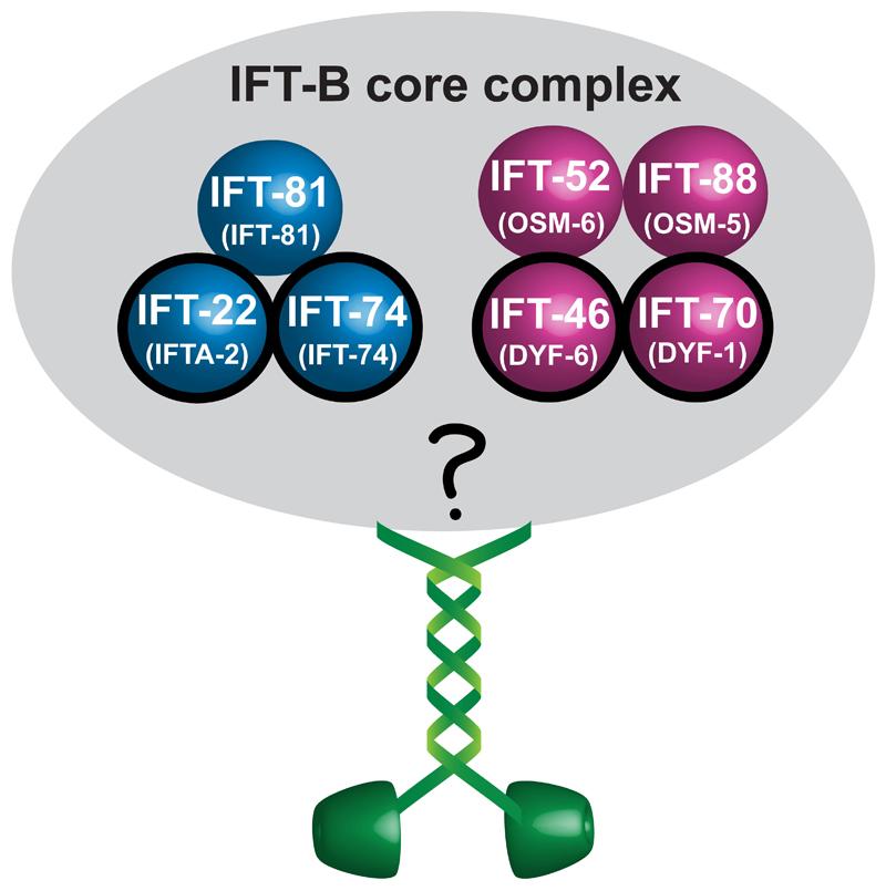https://cdn.ncbi.nlm.nih.gov/pmc/blobs/f3da/5967604/10d61da22c5f/emss-76863-f005.jpg