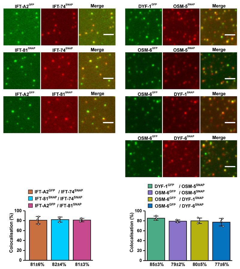 https://cdn.ncbi.nlm.nih.gov/pmc/blobs/f3da/5967604/a24530aca8fd/emss-76863-f008.jpg