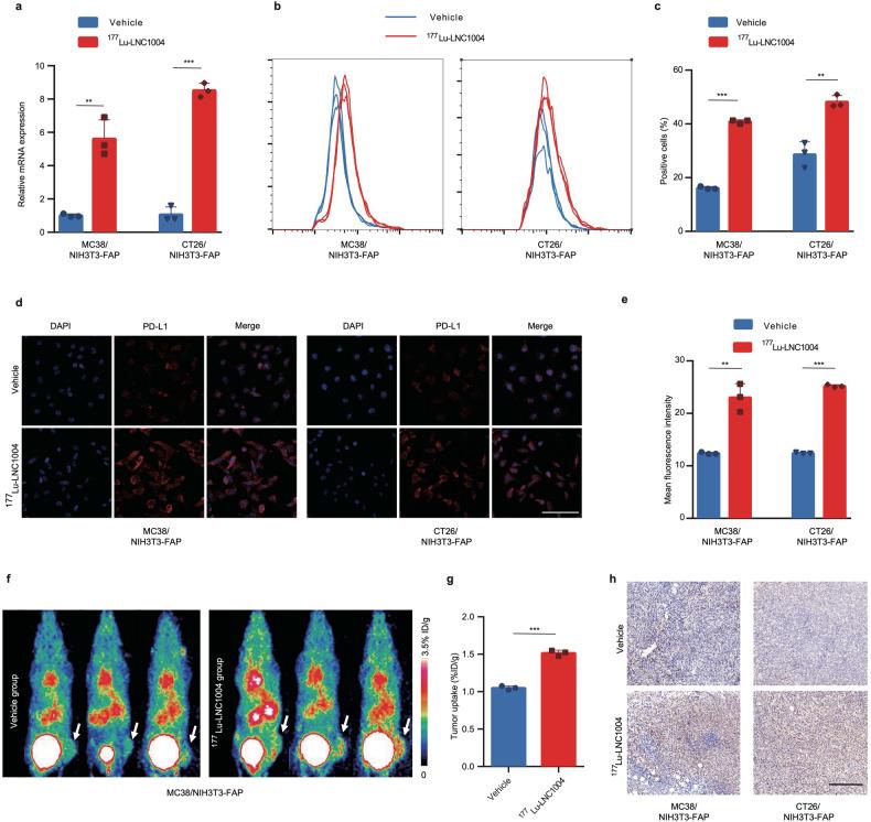 https://cdn.ncbi.nlm.nih.gov/pmc/blobs/f3db/11144707/6df644cc2a04/41392_2024_1853_Fig2_HTML.jpg