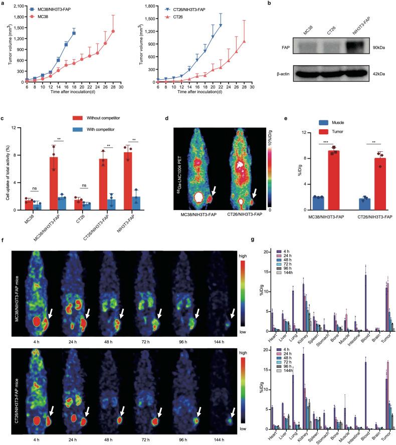 https://cdn.ncbi.nlm.nih.gov/pmc/blobs/f3db/11144707/a466a985e913/41392_2024_1853_Fig1_HTML.jpg