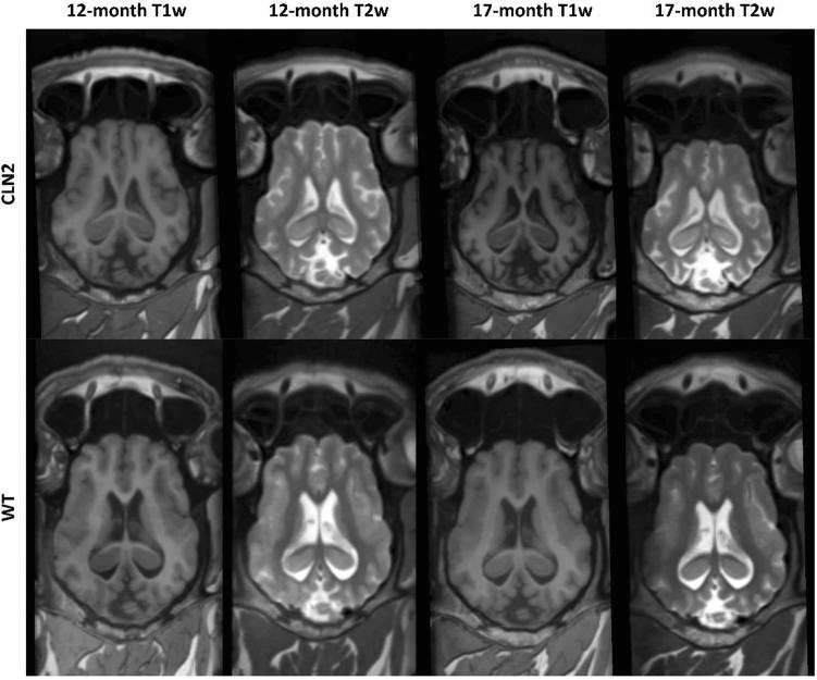 https://cdn.ncbi.nlm.nih.gov/pmc/blobs/f3dc/10060411/843b0a590993/41598_2023_32071_Fig1_HTML.jpg