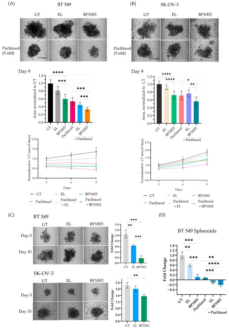 https://cdn.ncbi.nlm.nih.gov/pmc/blobs/f3dc/11351911/b2d29da24985/biomedicines-12-01901-g004.jpg