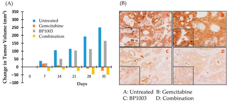 https://cdn.ncbi.nlm.nih.gov/pmc/blobs/f3dc/11351911/c38c0a024ca1/biomedicines-12-01901-g005.jpg