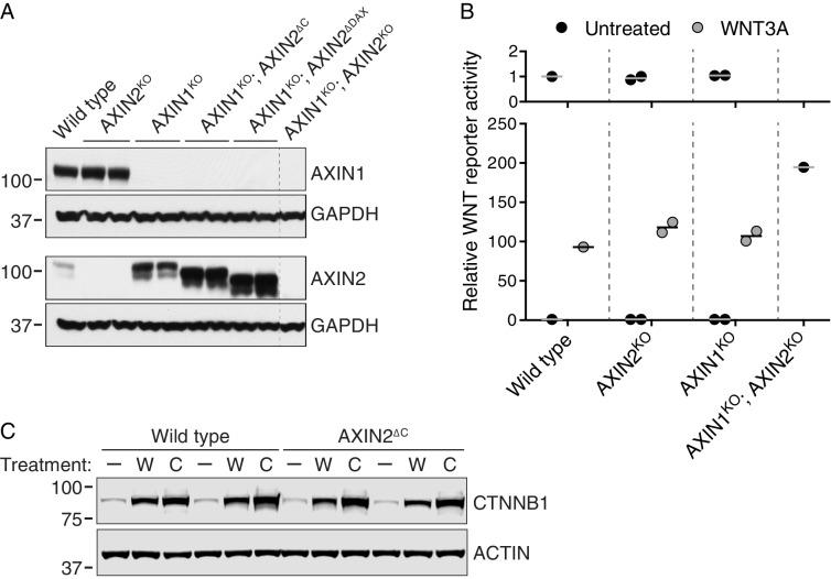 https://cdn.ncbi.nlm.nih.gov/pmc/blobs/f3dc/5257257/58b454cda38f/elife-21459-fig3-figsupp1.jpg