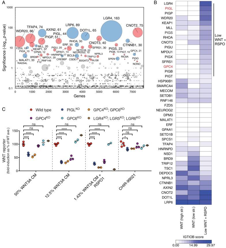 https://cdn.ncbi.nlm.nih.gov/pmc/blobs/f3dc/5257257/7181e1565125/elife-21459-fig4.jpg