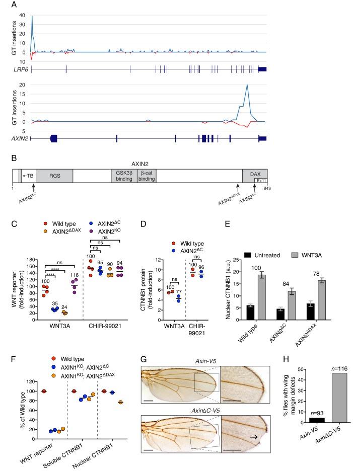 https://cdn.ncbi.nlm.nih.gov/pmc/blobs/f3dc/5257257/9ad244b9143e/elife-21459-fig3.jpg