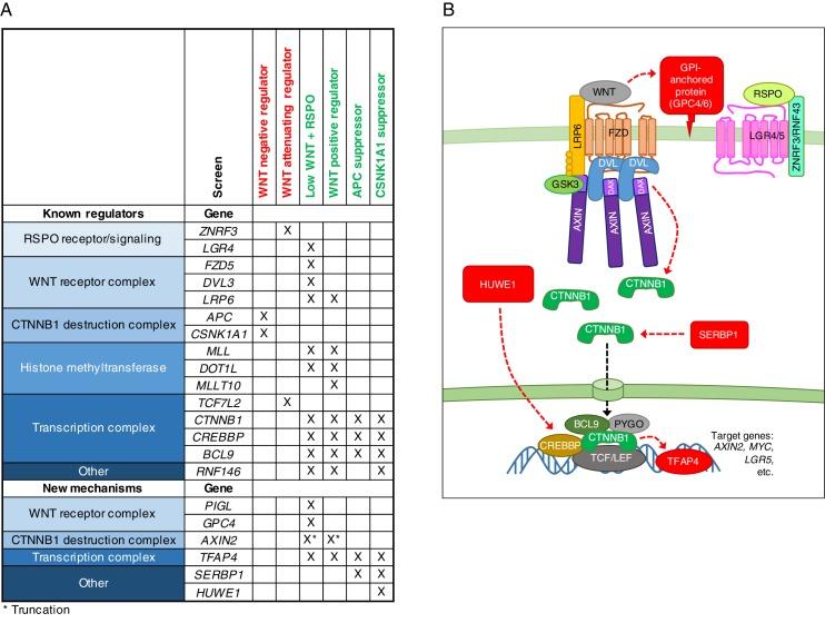 https://cdn.ncbi.nlm.nih.gov/pmc/blobs/f3dc/5257257/b297085b4d45/elife-21459-fig7.jpg