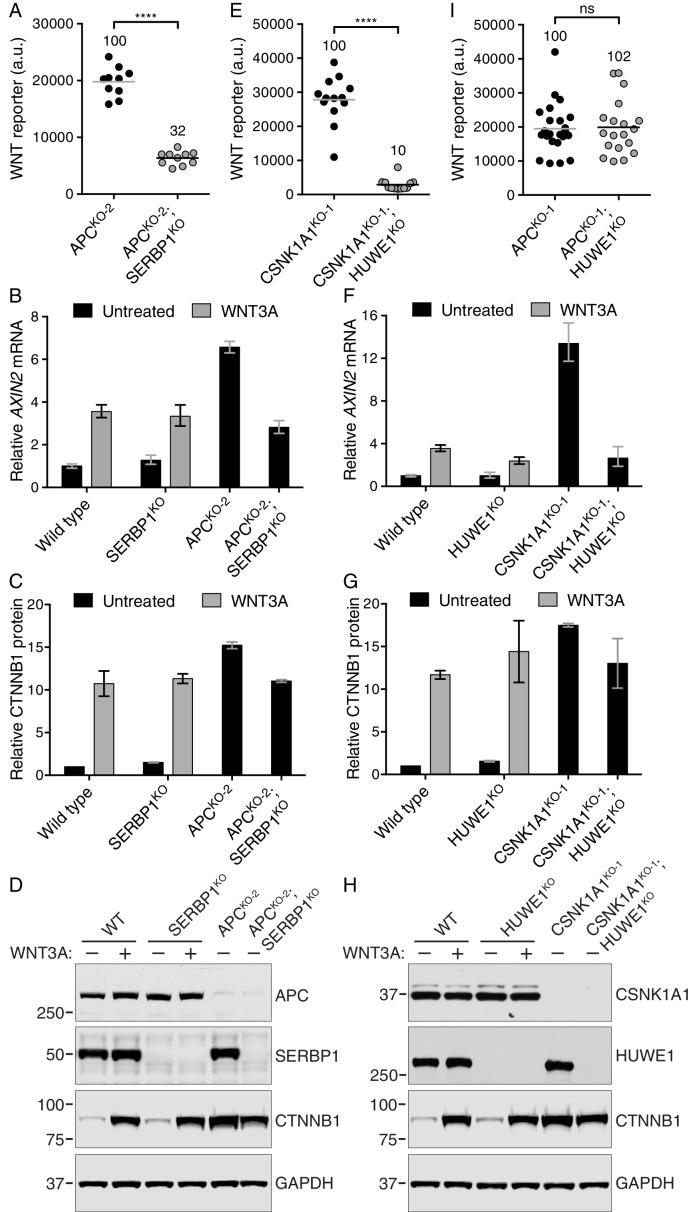 https://cdn.ncbi.nlm.nih.gov/pmc/blobs/f3dc/5257257/b5dcec832dc9/elife-21459-fig6.jpg