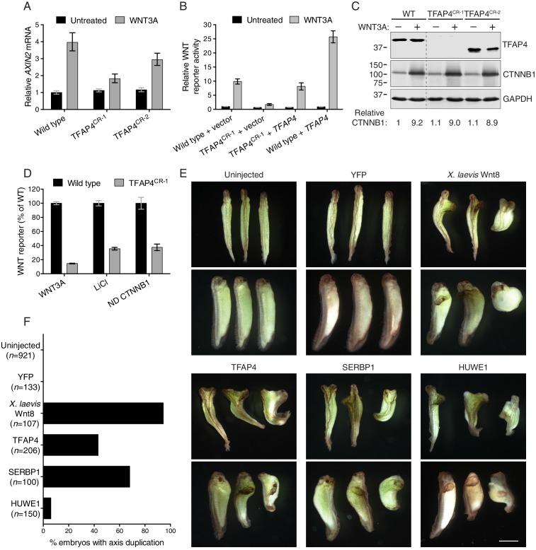 https://cdn.ncbi.nlm.nih.gov/pmc/blobs/f3dc/5257257/e2e5e4e82be7/elife-21459-fig2.jpg