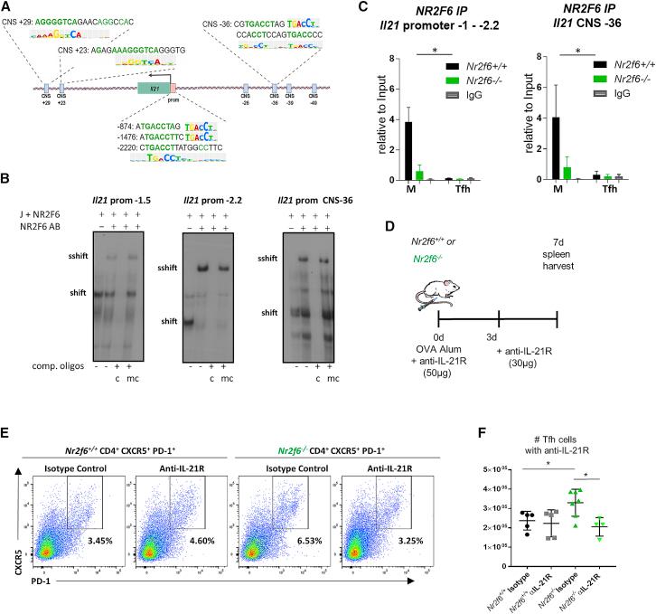 https://cdn.ncbi.nlm.nih.gov/pmc/blobs/f3dc/6899495/7a558bd02497/gr6.jpg