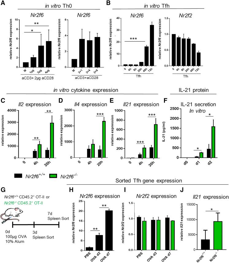 https://cdn.ncbi.nlm.nih.gov/pmc/blobs/f3dc/6899495/8403564cee95/gr5.jpg