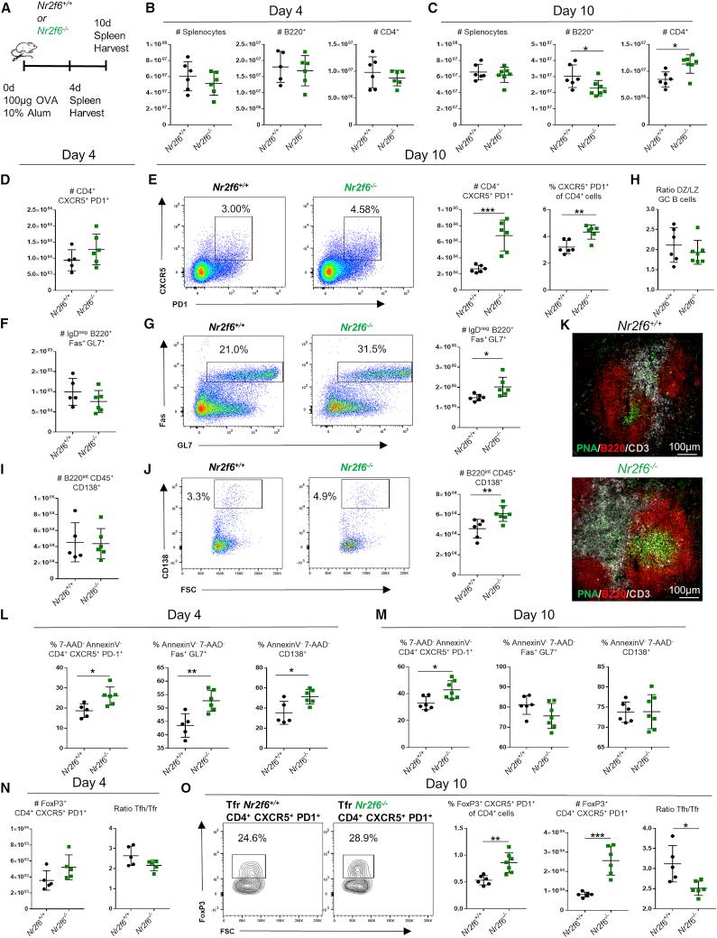 https://cdn.ncbi.nlm.nih.gov/pmc/blobs/f3dc/6899495/fed2628a8d0e/gr1.jpg
