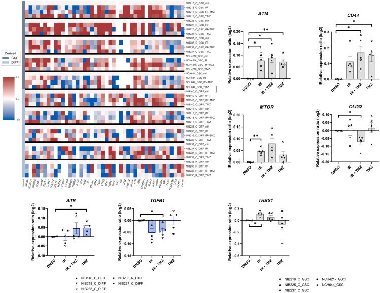 https://cdn.ncbi.nlm.nih.gov/pmc/blobs/f3dd/11381849/e0c8756157ad/gr7.jpg