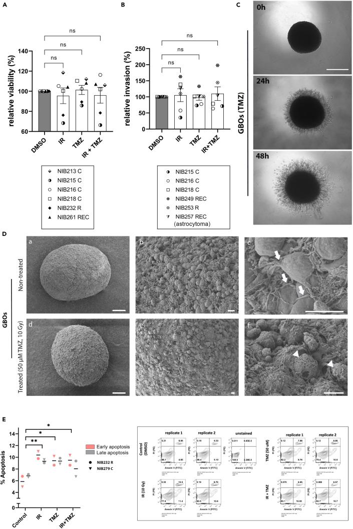 https://cdn.ncbi.nlm.nih.gov/pmc/blobs/f3dd/11381849/faa550f0cdbd/gr3.jpg