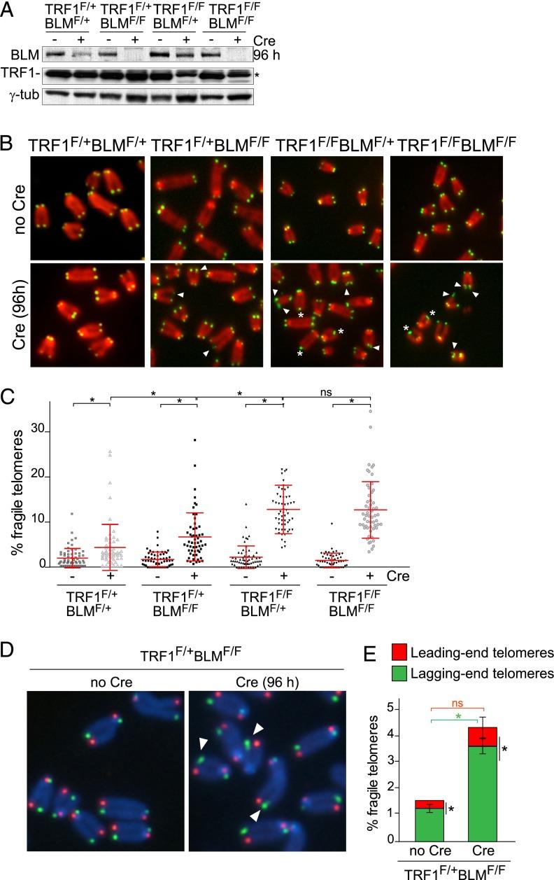 https://cdn.ncbi.nlm.nih.gov/pmc/blobs/f3dd/4233241/41ff1f7633f3/2477fig1.jpg
