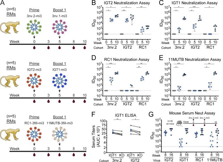 https://cdn.ncbi.nlm.nih.gov/pmc/blobs/f3de/12341506/64c18f3c2693/jem_20250693_fig4.jpg