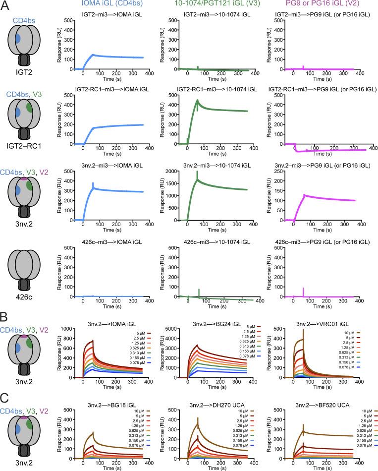 https://cdn.ncbi.nlm.nih.gov/pmc/blobs/f3de/12341506/7d7336f5167e/jem_20250693_fig3.jpg