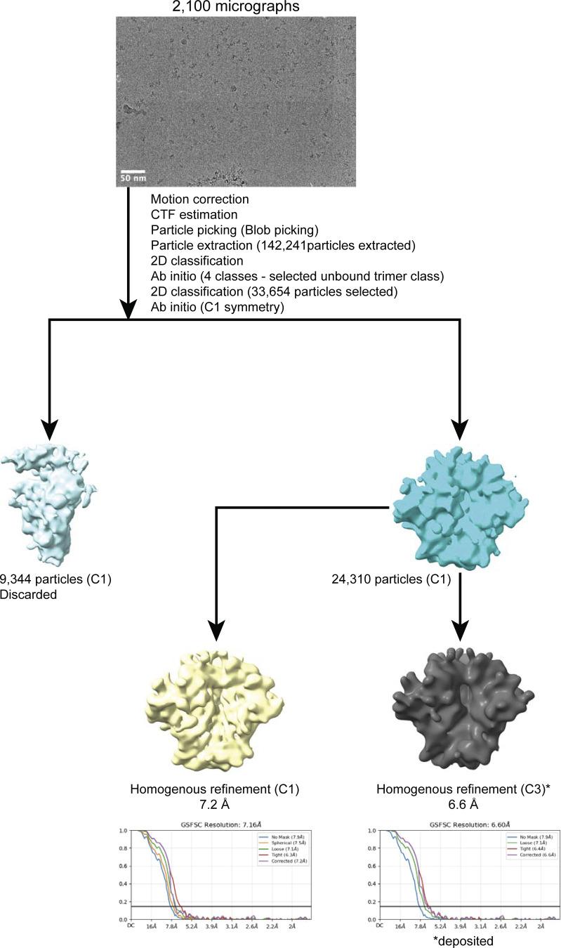 https://cdn.ncbi.nlm.nih.gov/pmc/blobs/f3de/12341506/d5cfb36596f6/jem_20250693_figs2.jpg