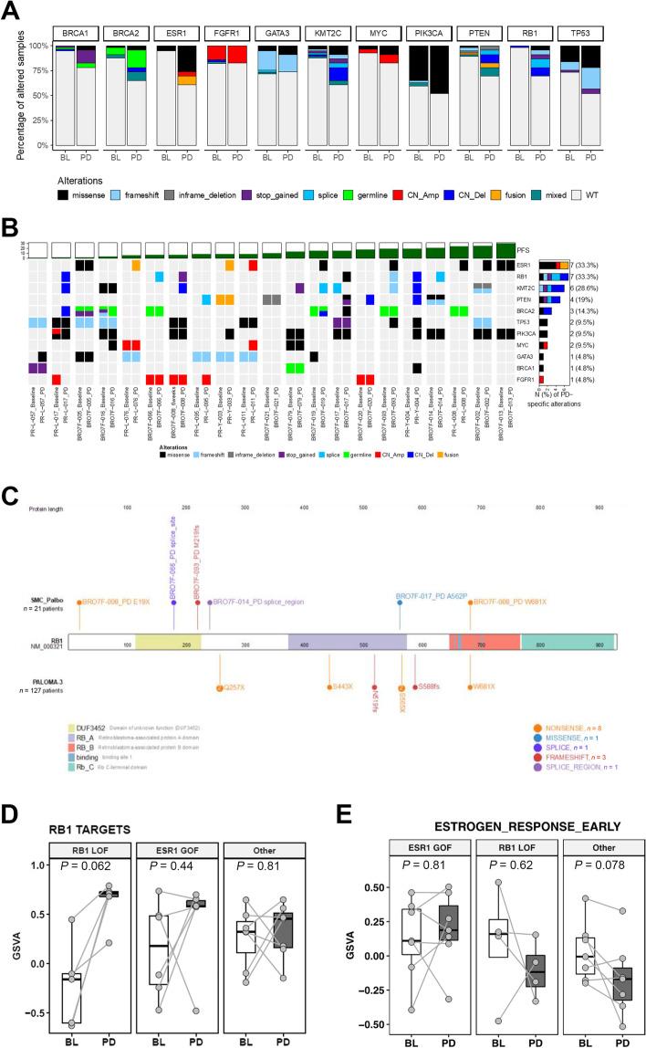 https://cdn.ncbi.nlm.nih.gov/pmc/blobs/f3df/10360358/63a139c22a6c/13073_2023_1201_Fig4_HTML.jpg