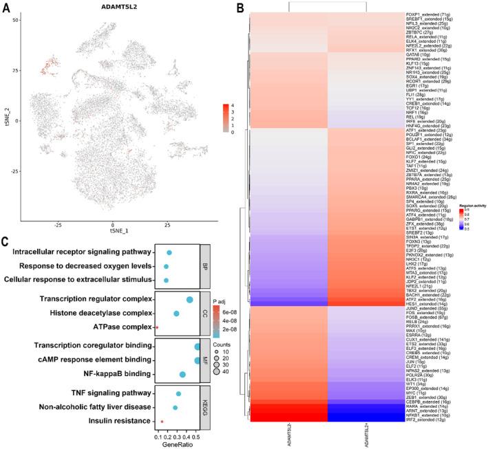 https://cdn.ncbi.nlm.nih.gov/pmc/blobs/f3df/11891380/30ec44be8725/LIV-45-0-g006.jpg