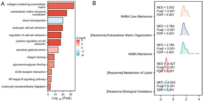 https://cdn.ncbi.nlm.nih.gov/pmc/blobs/f3df/11891380/4d66c1034304/LIV-45-0-g005.jpg