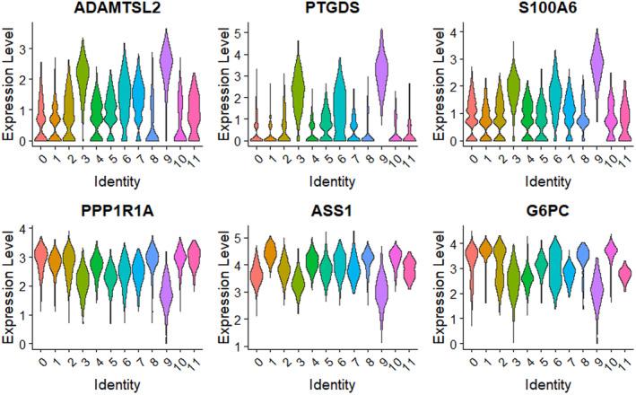 https://cdn.ncbi.nlm.nih.gov/pmc/blobs/f3df/11891380/a05c759de62c/LIV-45-0-g008.jpg