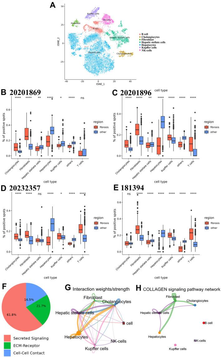 https://cdn.ncbi.nlm.nih.gov/pmc/blobs/f3df/11891380/d48cf93d8570/LIV-45-0-g001.jpg