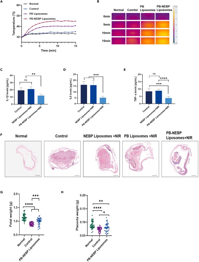 https://cdn.ncbi.nlm.nih.gov/pmc/blobs/f3e1/11097077/3115ace72975/gr5.jpg