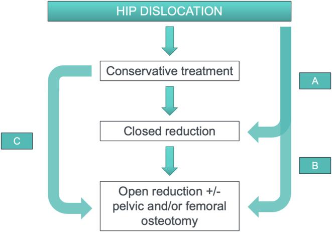 https://cdn.ncbi.nlm.nih.gov/pmc/blobs/f3e1/11457818/dd7c65298b50/EOR-24-0007fig1.jpg