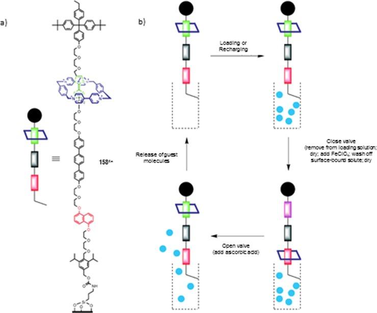 https://cdn.ncbi.nlm.nih.gov/pmc/blobs/f3e2/4585175/2ae1ace3475f/cr-2015-001465_0116.jpg