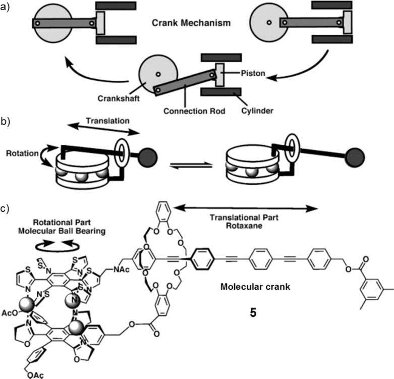 https://cdn.ncbi.nlm.nih.gov/pmc/blobs/f3e2/4585175/d24cc1426086/cr-2015-001465_0061.jpg