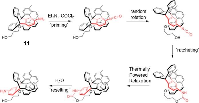 https://cdn.ncbi.nlm.nih.gov/pmc/blobs/f3e2/4585175/f8bf769eb39c/cr-2015-001465_0003.jpg