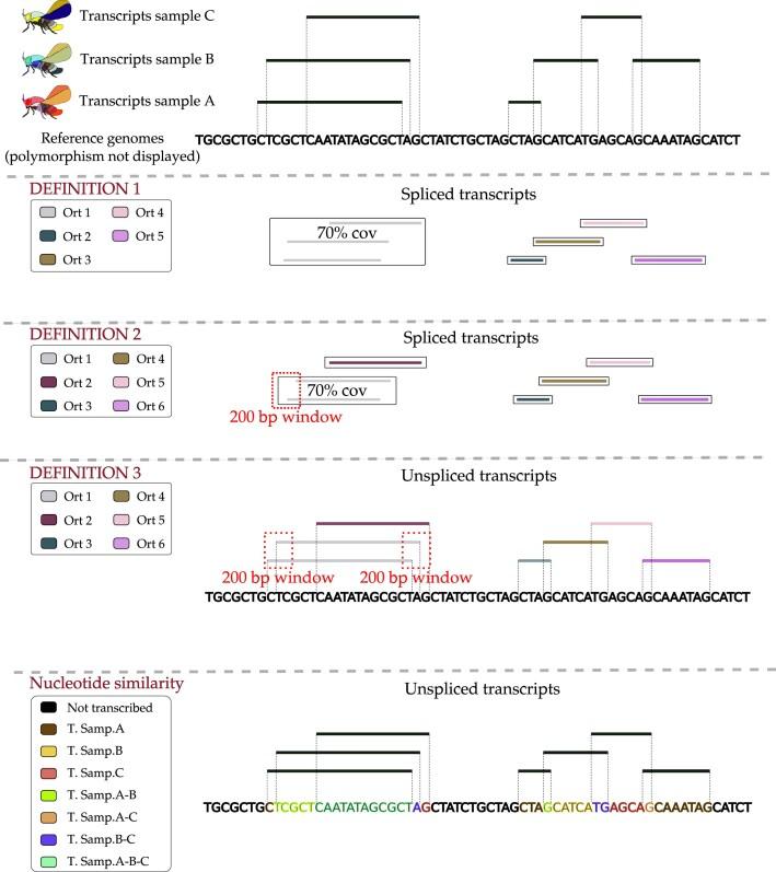 https://cdn.ncbi.nlm.nih.gov/pmc/blobs/f3e5/10783523/eacf6a142257/gkad1079fig1.jpg