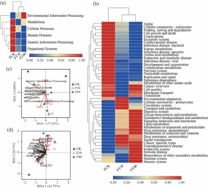 https://cdn.ncbi.nlm.nih.gov/pmc/blobs/f3e5/11711279/d5991b8c386d/41598_2025_85754_Fig6_HTML.jpg