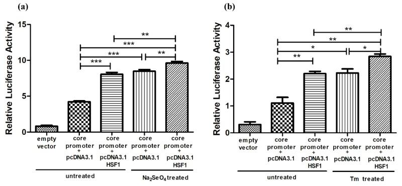 https://cdn.ncbi.nlm.nih.gov/pmc/blobs/f3e6/6562903/342a66e0d7ef/cells-08-00479-g007.jpg