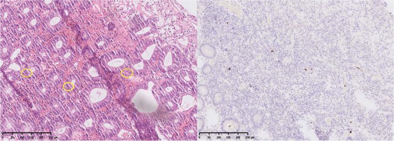https://cdn.ncbi.nlm.nih.gov/pmc/blobs/f3ea/10983691/c0c0c25ca2d5/12879_2024_9255_Fig1_HTML.jpg